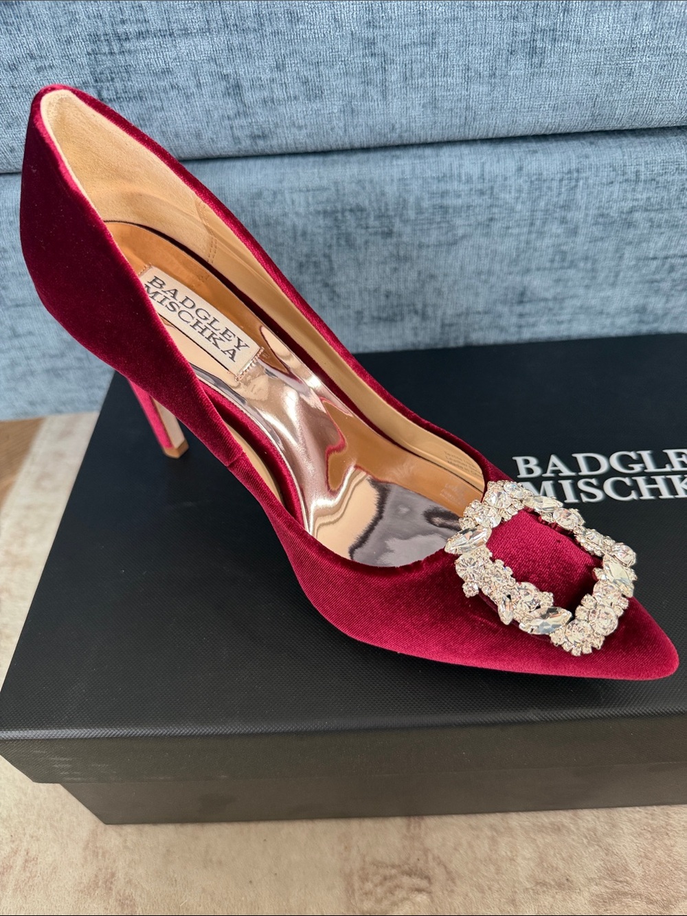 Badgley Mischka Cher Bordeaux Wine Red Velvet Pointed Pump with Crystal Buckle
